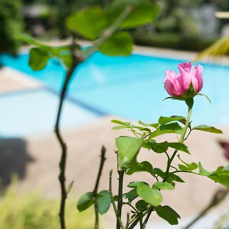 Pen Villa Hotel, Surin Beach - Sha Extra Plus Екстериор снимка
